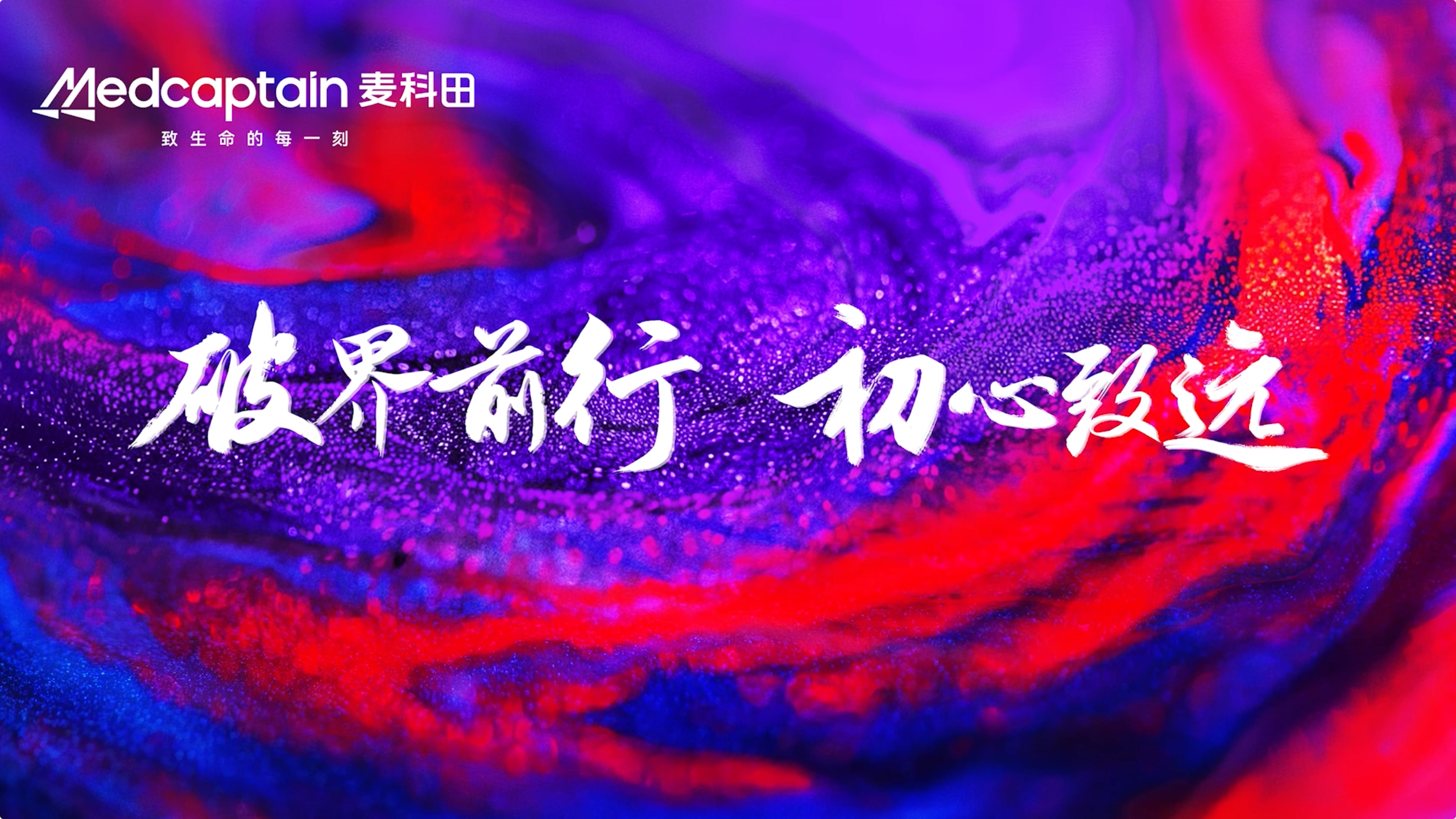 麦科田2024年年终总结
